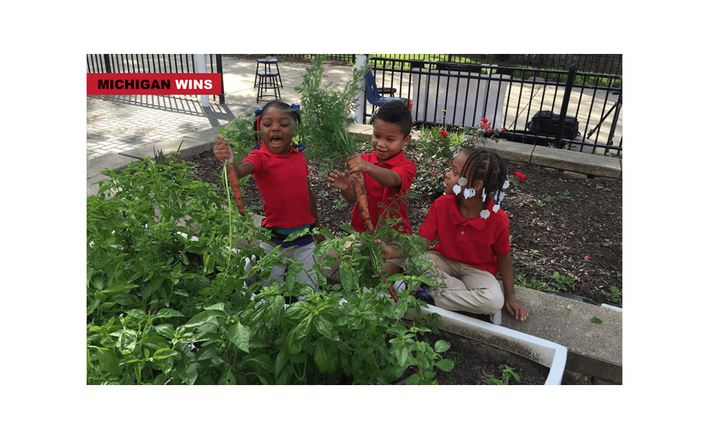 Elon Musk’s Brother aims to create 100 gardens in Detroit Schools