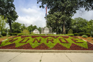 Monroe, MI Personal Injury Lawyer