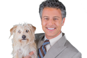 All About Pets