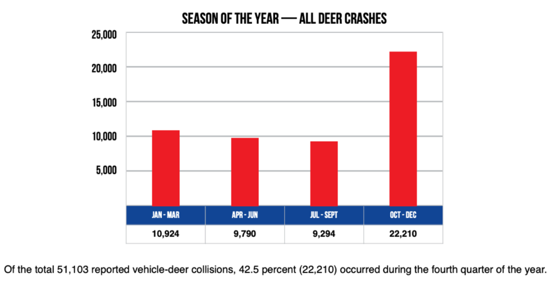 car crashes with deers by month