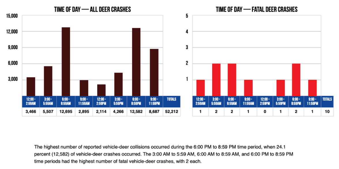 In 2021, Michigan Saw 50,000 Deer-Related Crashes: Here’s How to Avoid an Accident During Peak Deer Season