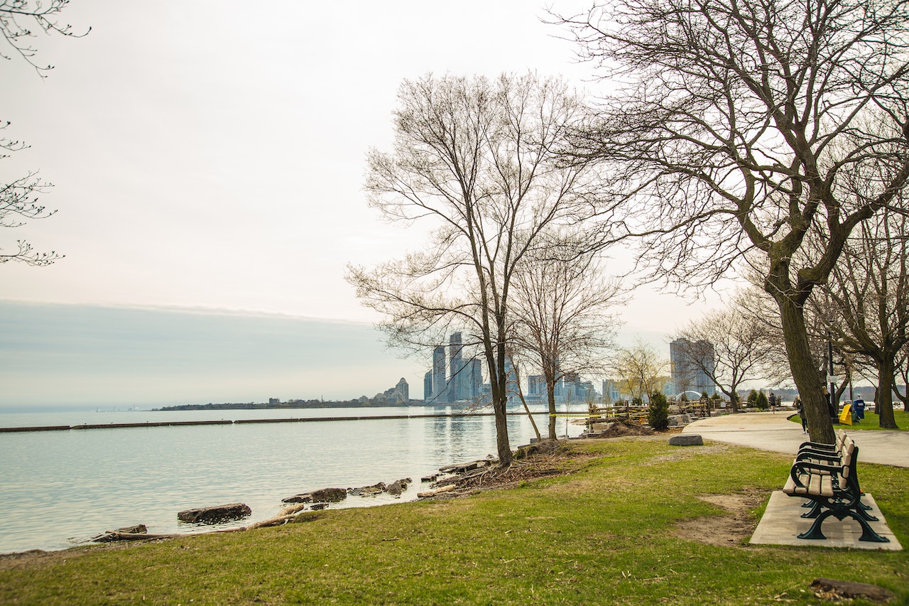 Are Car Crashes Common In Detroit, MI?