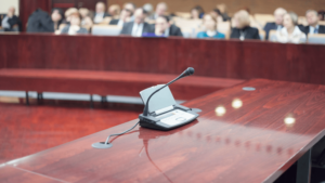 expert witness