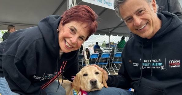 Meet Your Best Friend Adoption