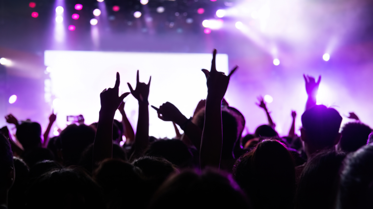 people having fun at a concert