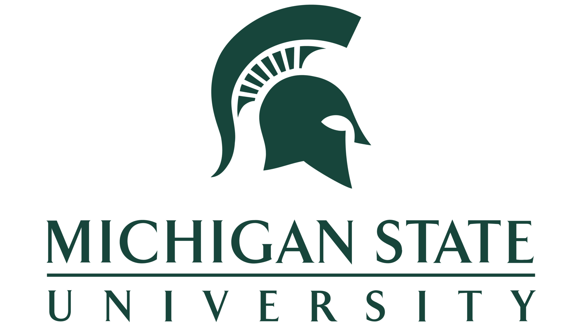 Michigan State University