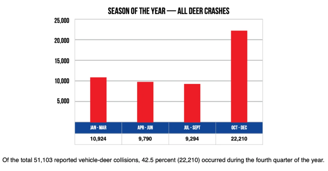 In 2021, Michigan Saw 50,000 Deer-Related Crashes: Here’s How to Avoid an Accident During Peak Deer Season
