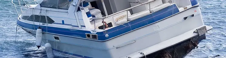 25322Michigan Dog Bite