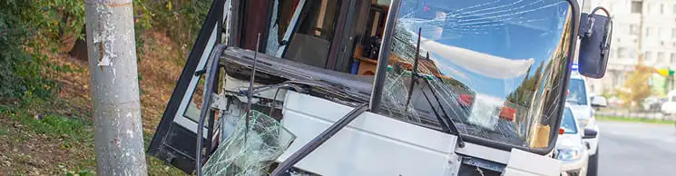 25333Michigan Dog Bite