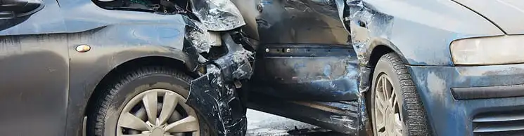 19729Michigan Dog Bite